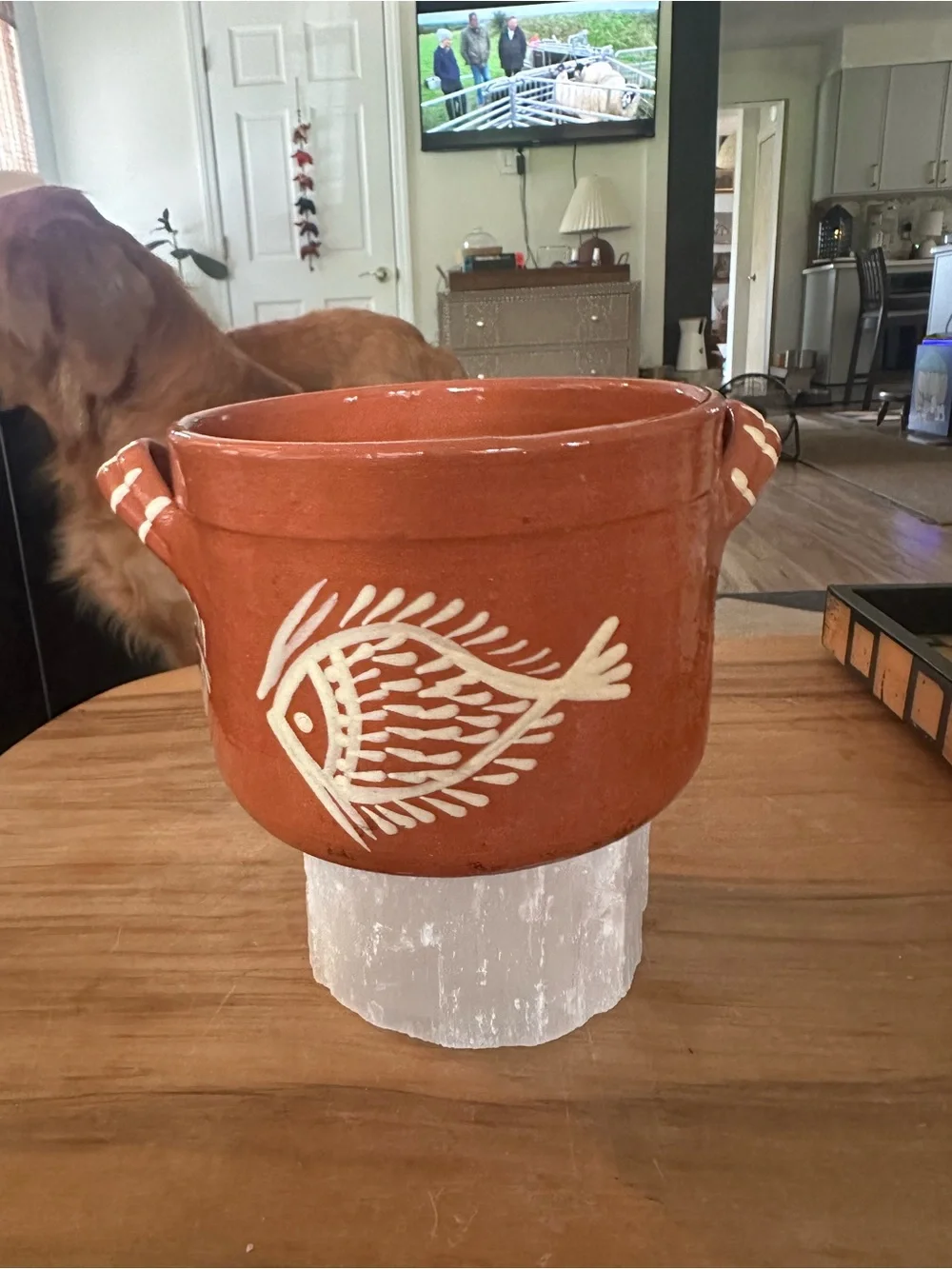Cevalier Terracotta 4.5”H x 6”W Base with Maker's Stamp fish decor portugal used